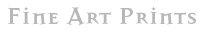 Fine-art-prints